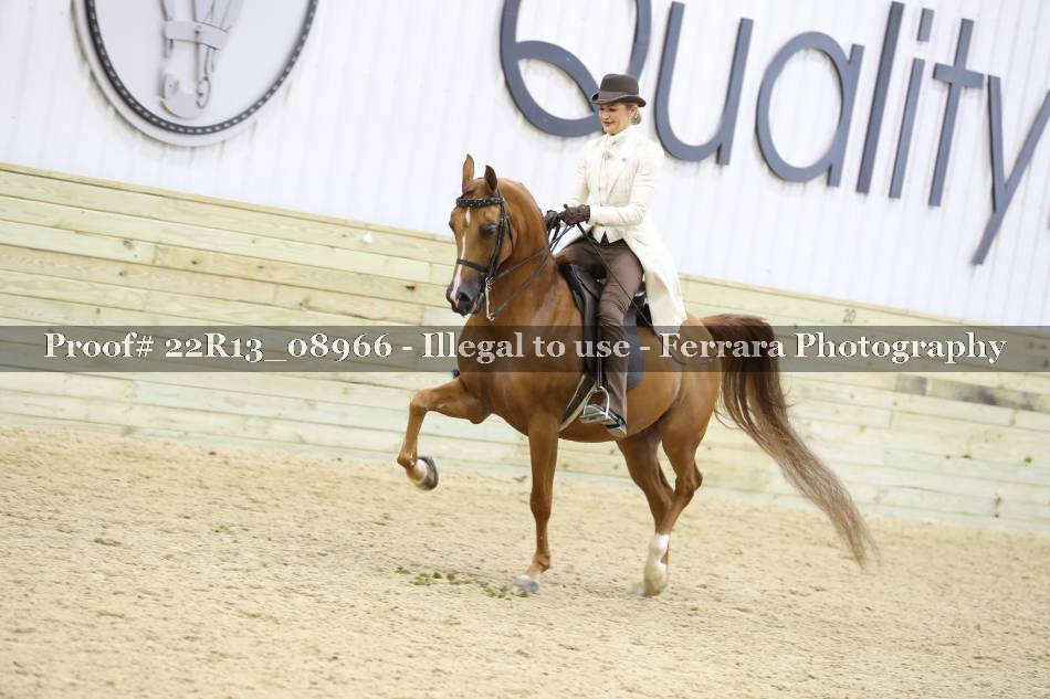 Proof 22R13_08966