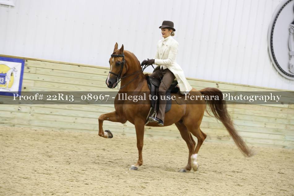 Proof 22R13_08967