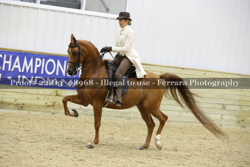 Proof 22R13_08968