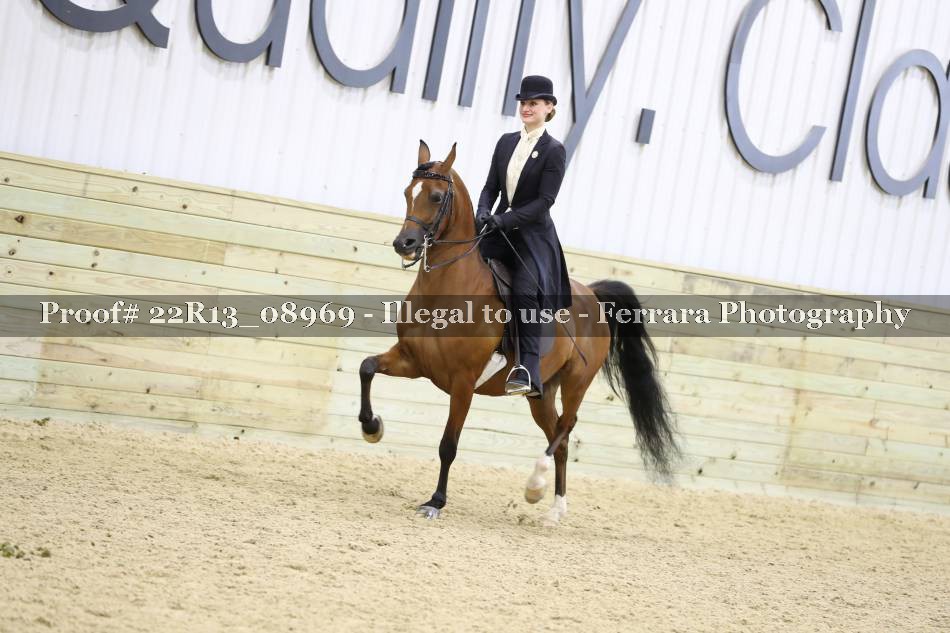 Proof 22R13_08969