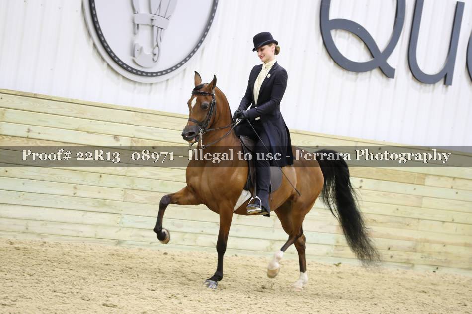 Proof 22R13_08971