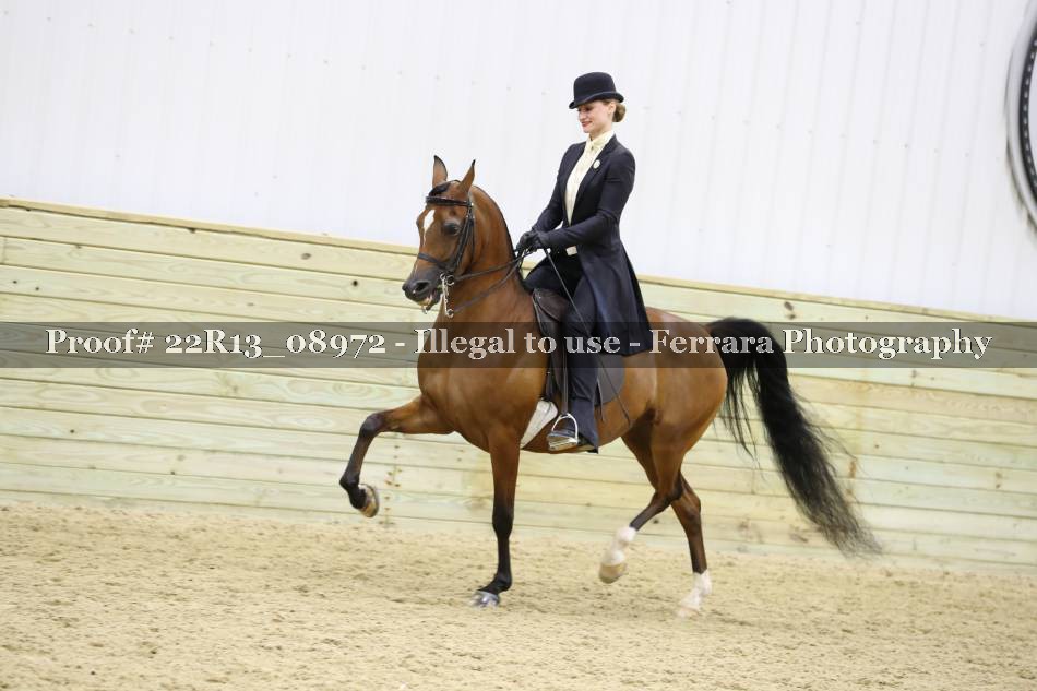 Proof 22R13_08972