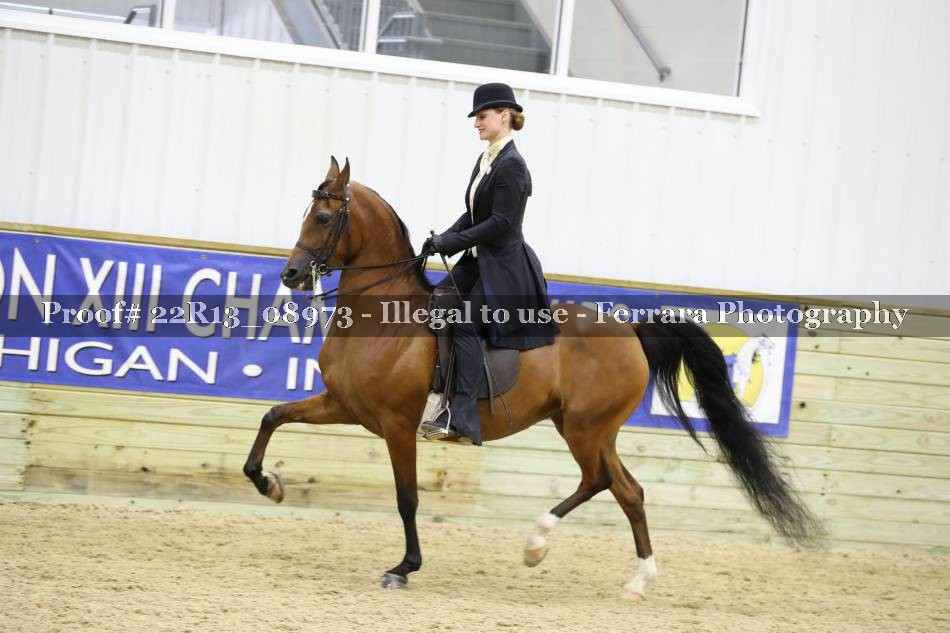 Proof 22R13_08973