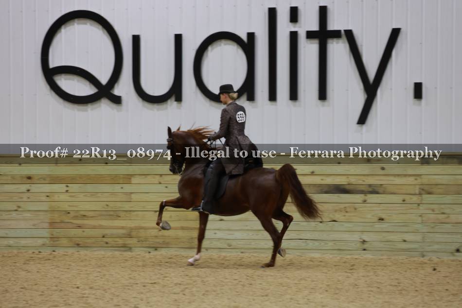 Proof 22R13_08974