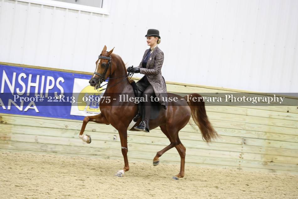 Proof 22R13_08975