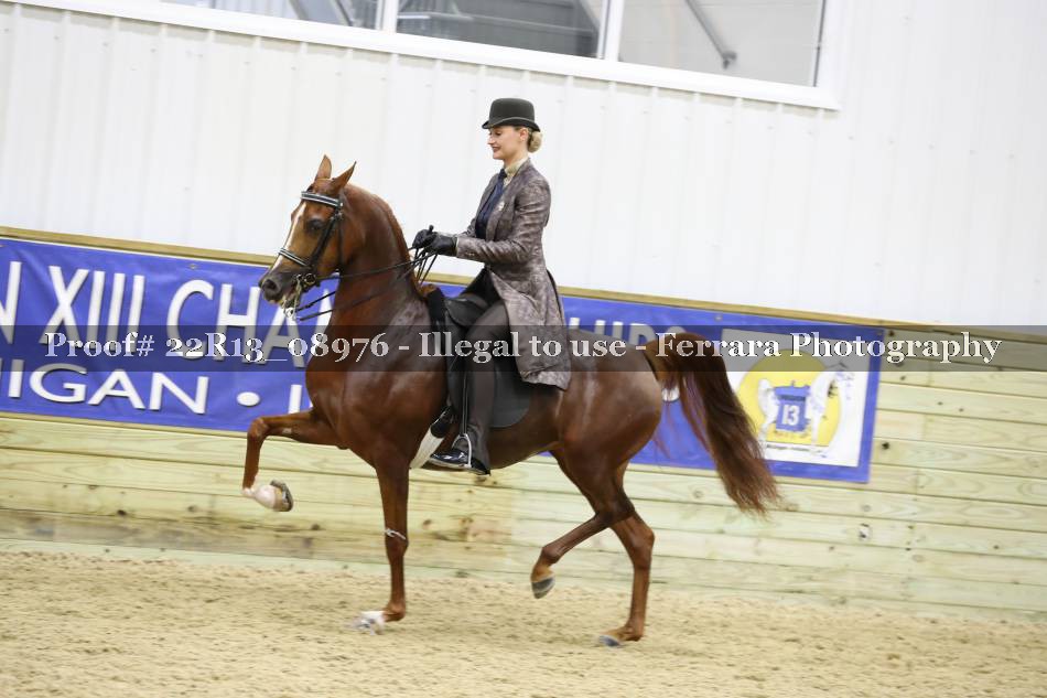 Proof 22R13_08976