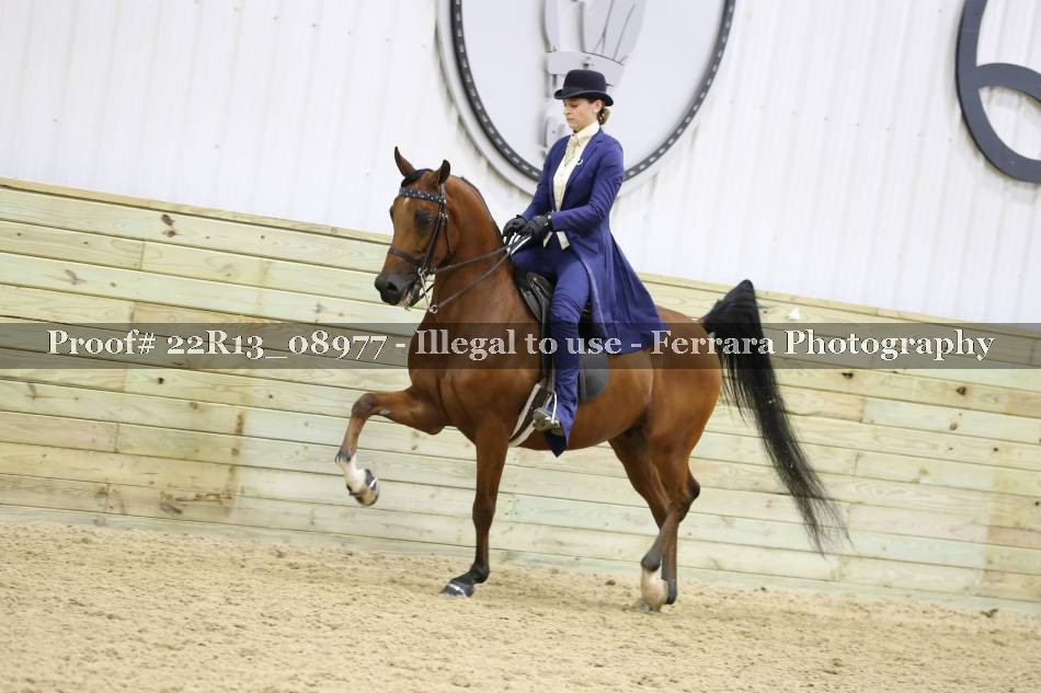 Proof 22R13_08977