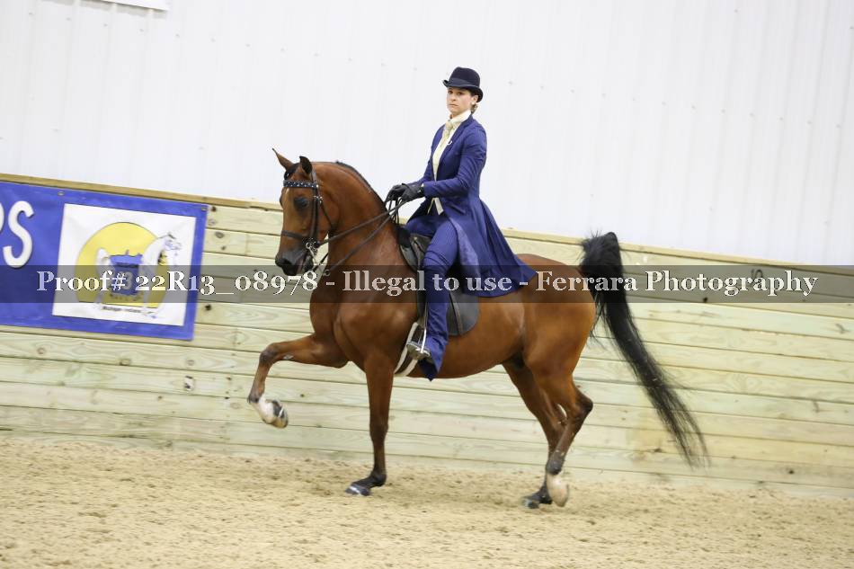Proof 22R13_08978