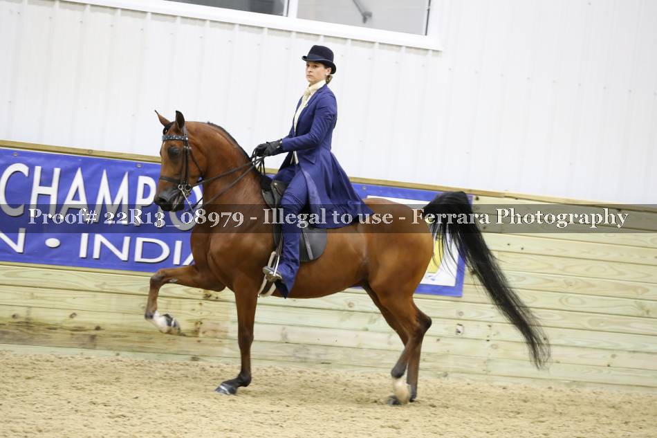 Proof 22R13_08979