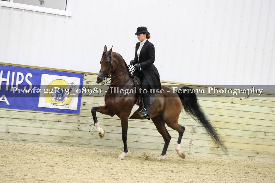 Proof 22R13_08981