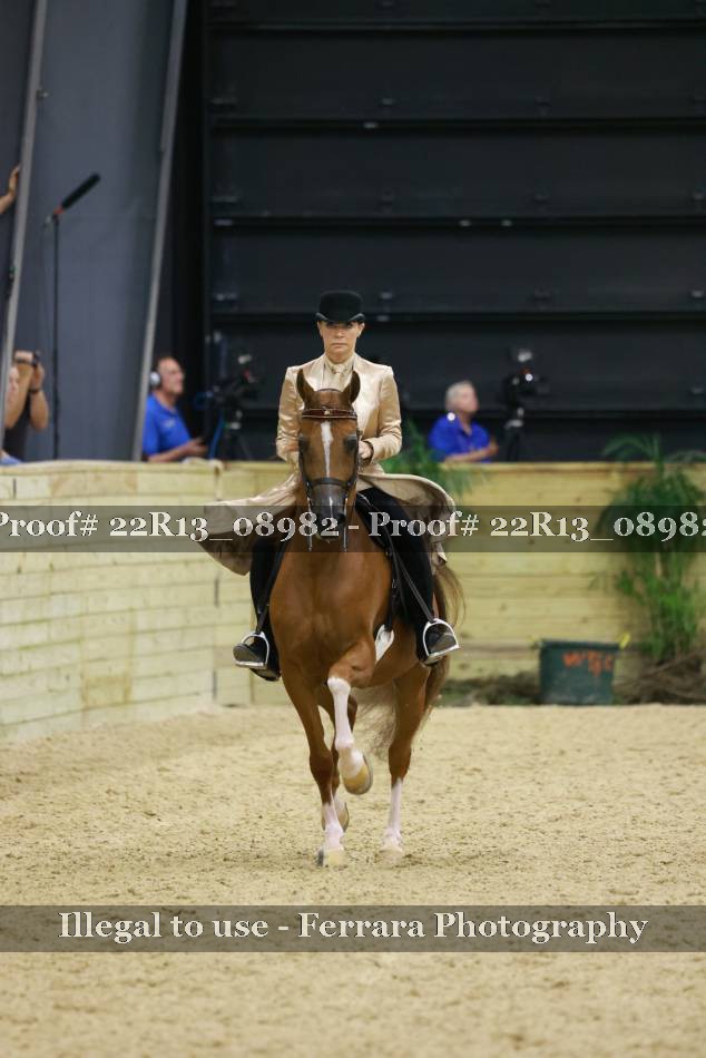 Proof 22R13_08982