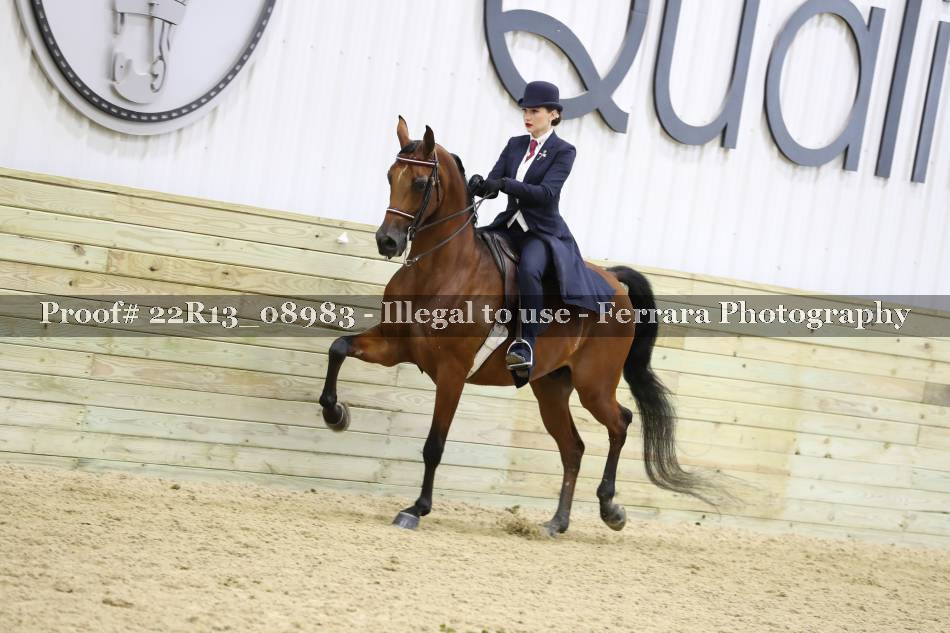 Proof 22R13_08983