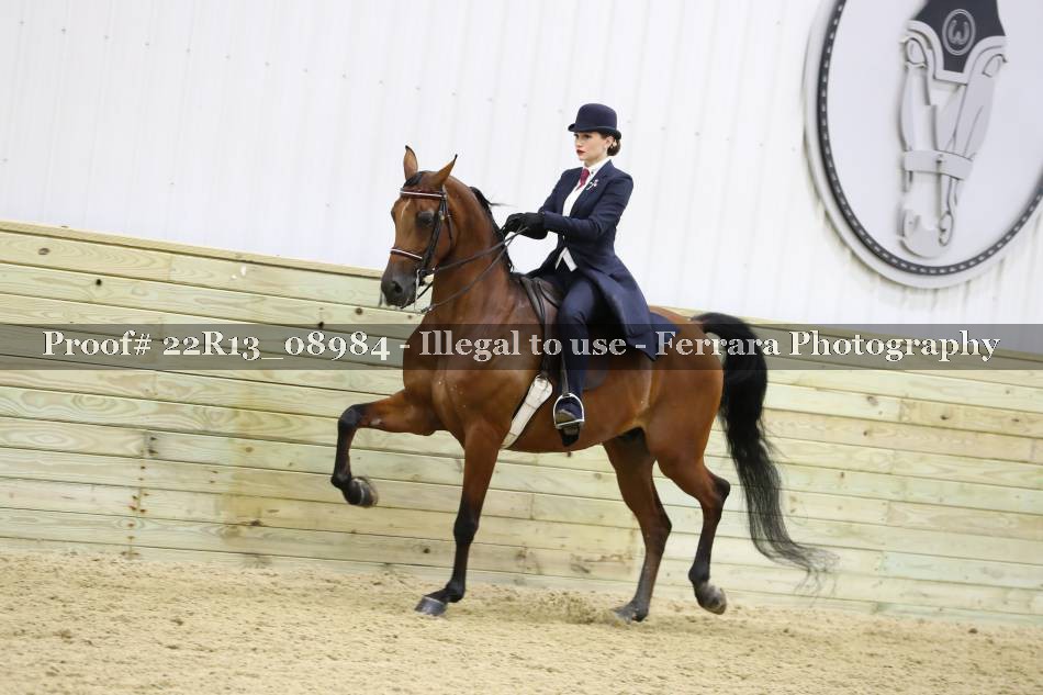 Proof 22R13_08984
