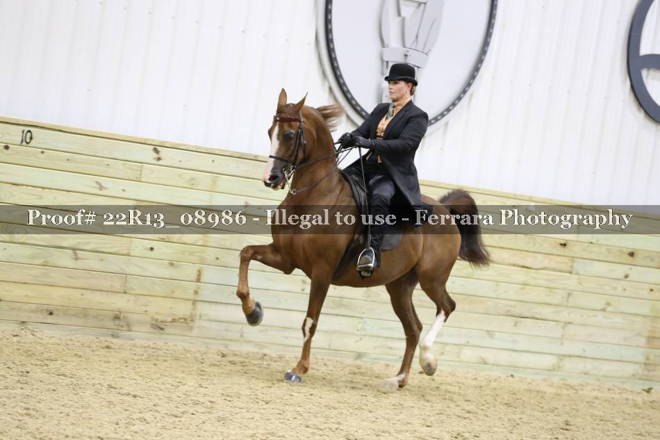 Proof 22R13_08986