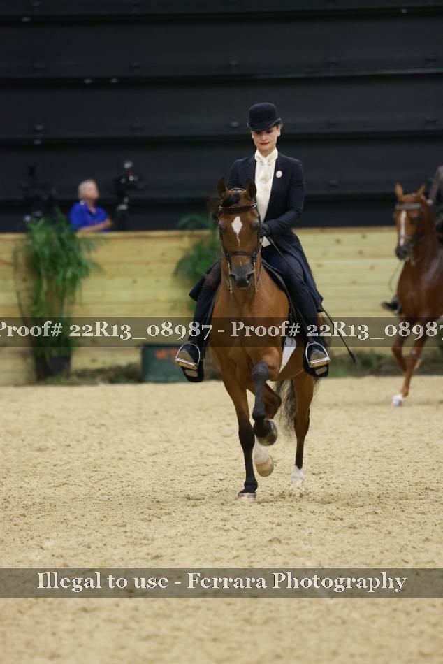 Proof 22R13_08987