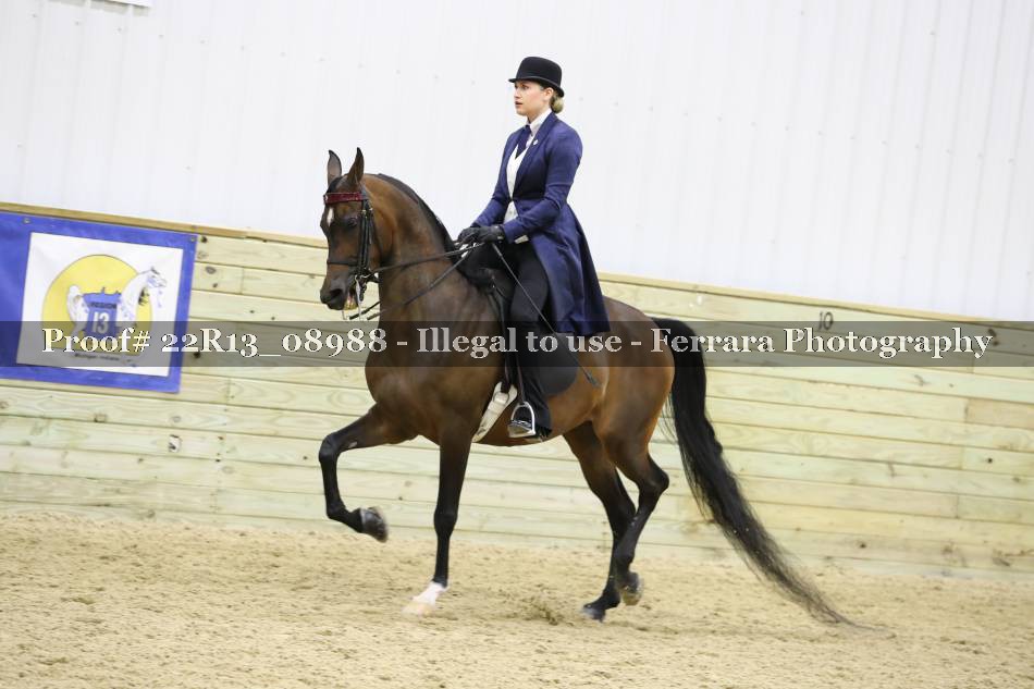 Proof 22R13_08988