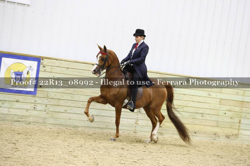 Proof 22R13_08992