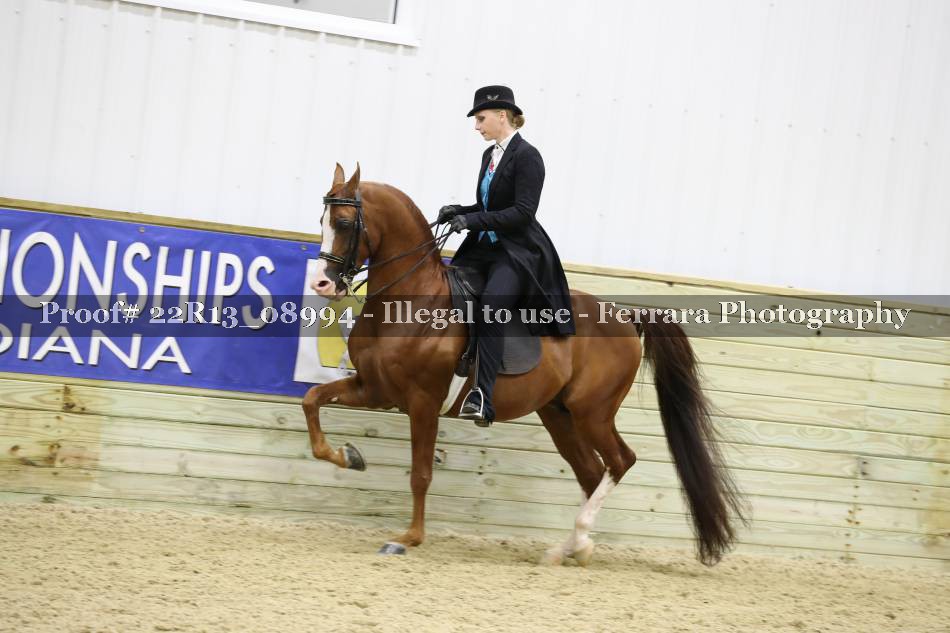 Proof 22R13_08994