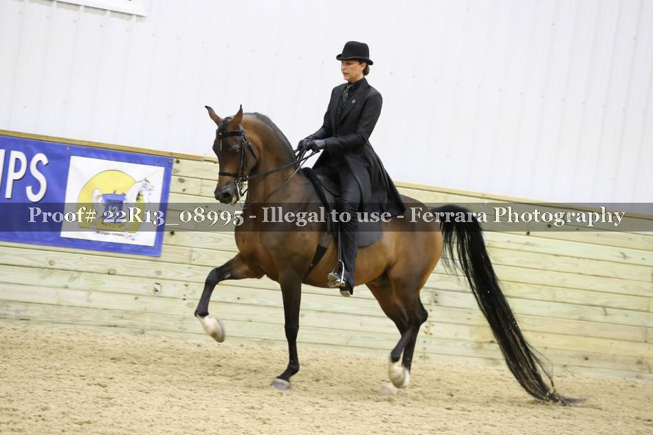 Proof 22R13_08995