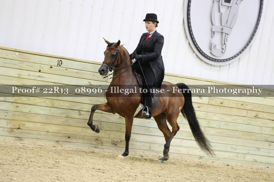 Proof 22R13_08996