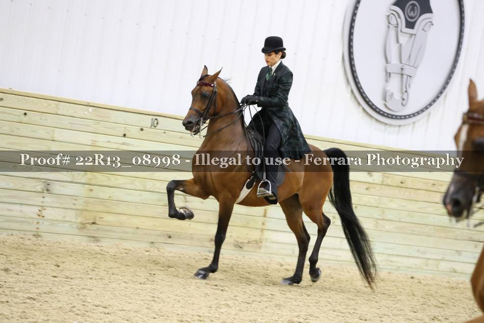 Proof 22R13_08998