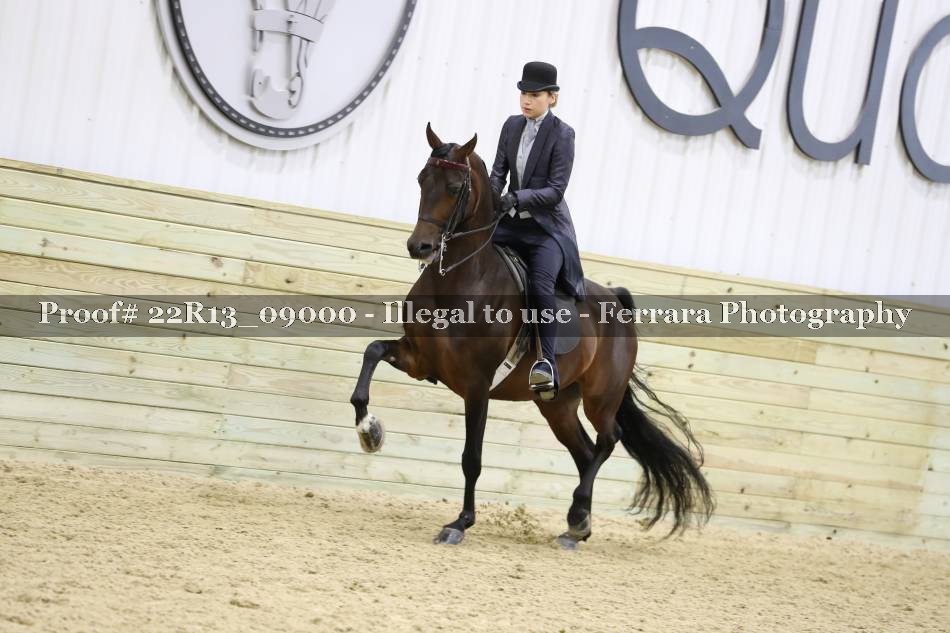 Proof 22R13_09000