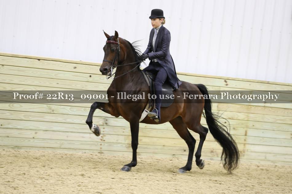 Proof 22R13_09001