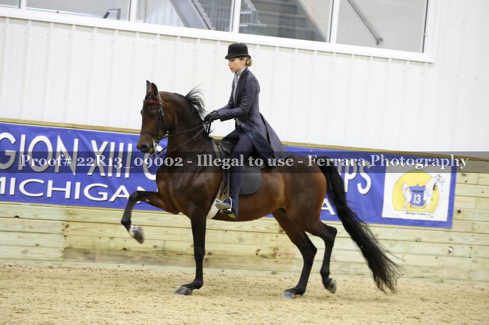 Proof 22R13_09002