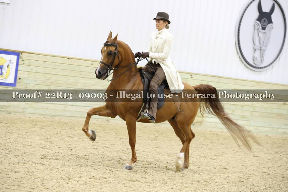 Proof 22R13_09003