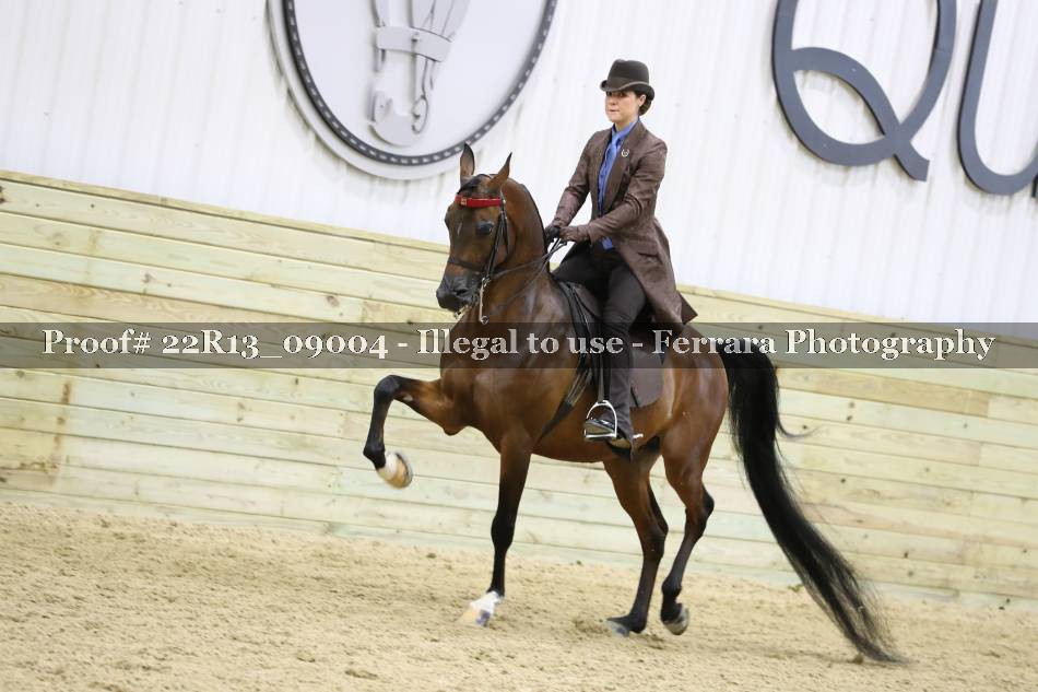 Proof 22R13_09004