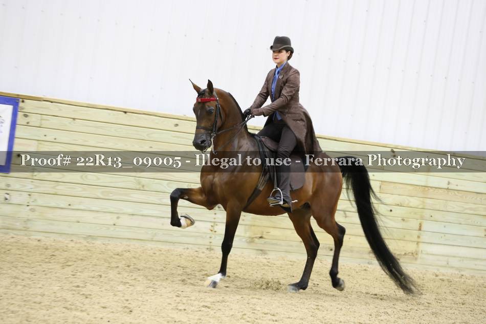 Proof 22R13_09005