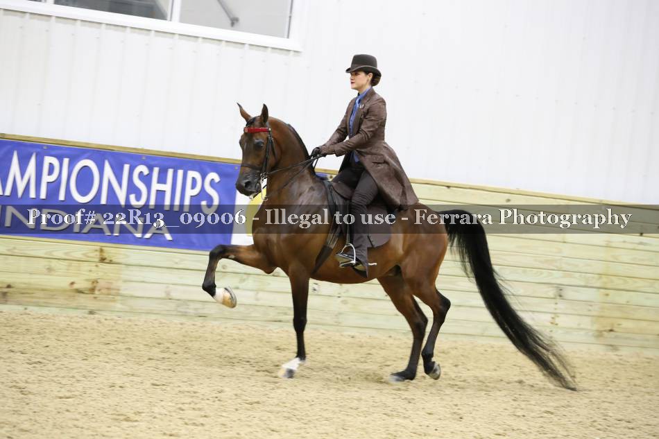 Proof 22R13_09006