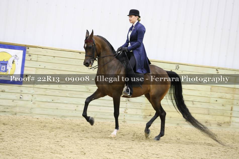 Proof 22R13_09008