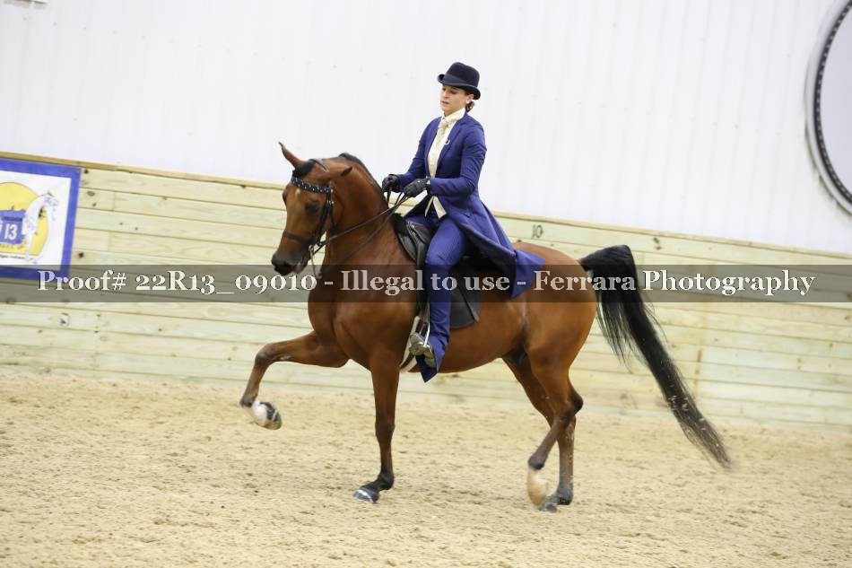 Proof 22R13_09010