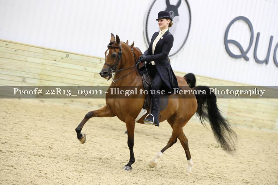 Proof 22R13_09011