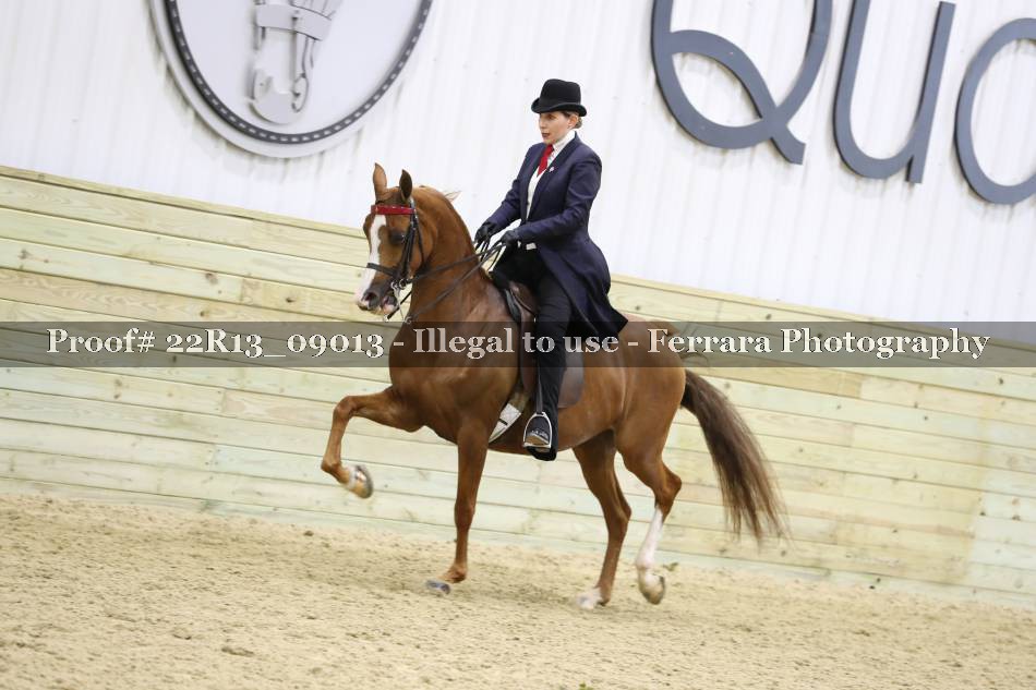 Proof 22R13_09013
