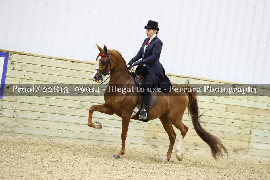 Proof 22R13_09014