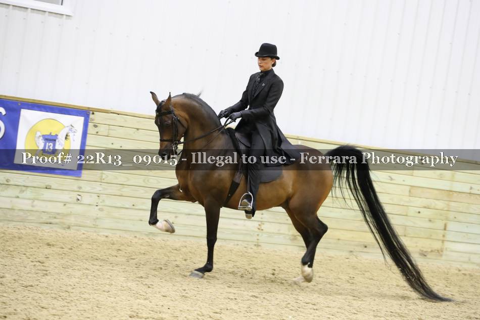 Proof 22R13_09015