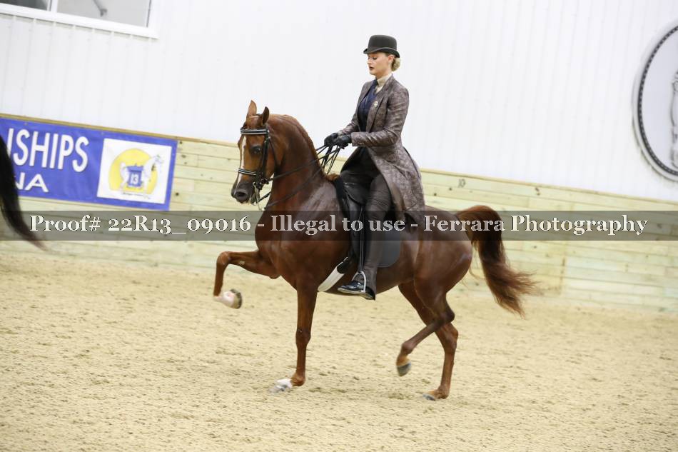 Proof 22R13_09016
