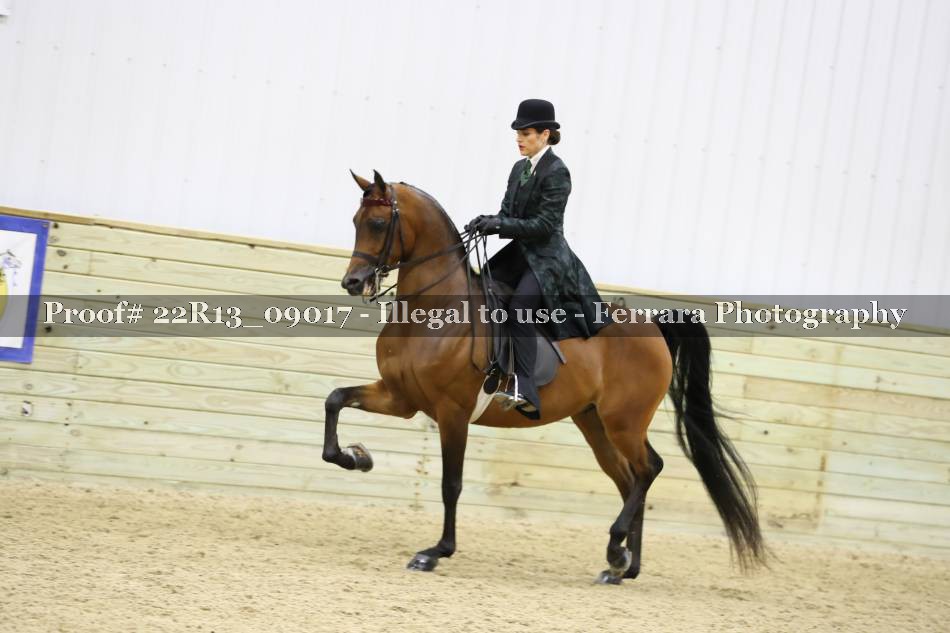 Proof 22R13_09017