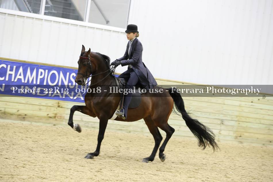 Proof 22R13_09018