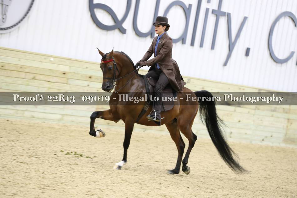 Proof 22R13_09019