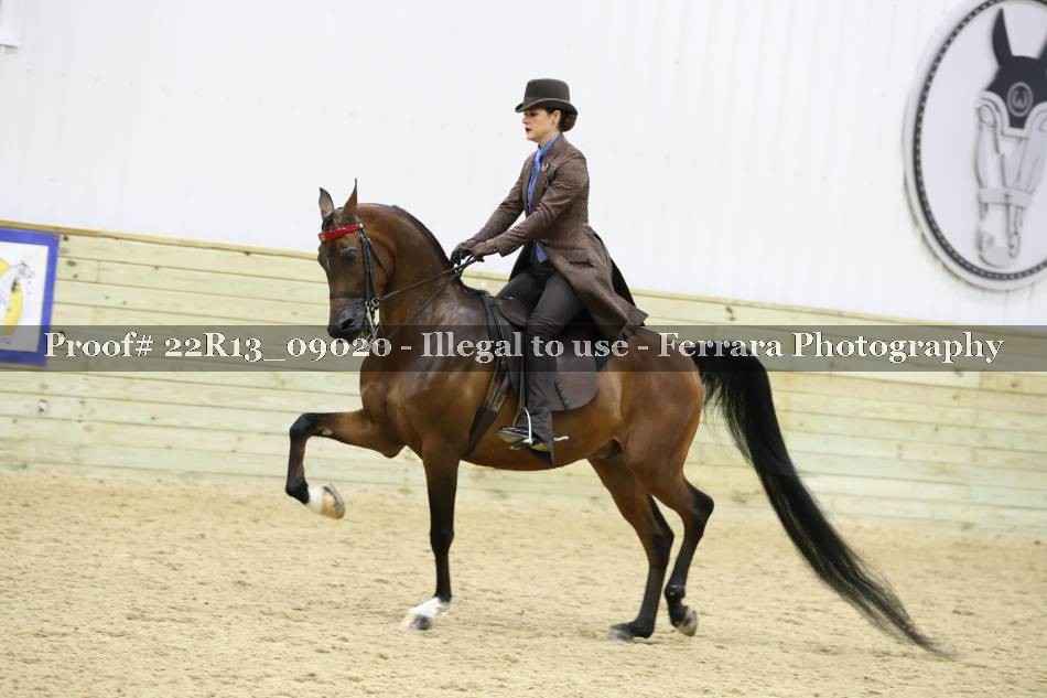 Proof 22R13_09020