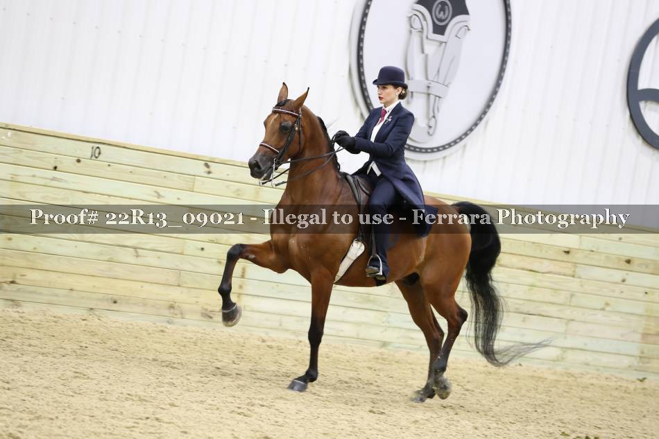 Proof 22R13_09021
