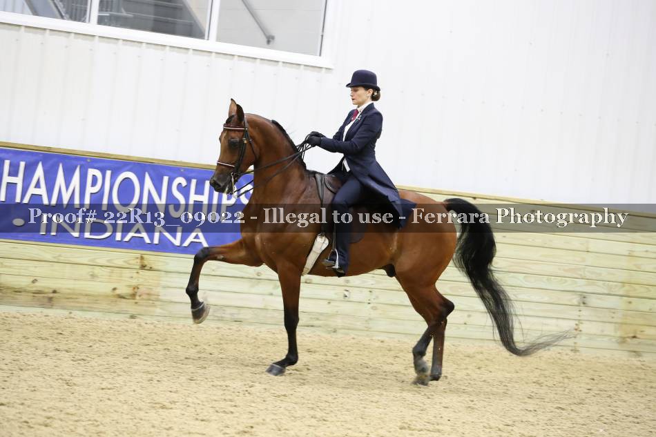 Proof 22R13_09022