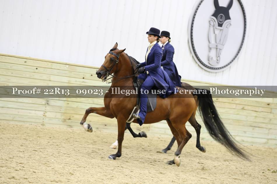 Proof 22R13_09023