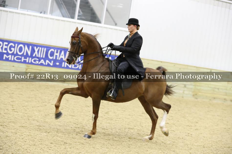 Proof 22R13_09024