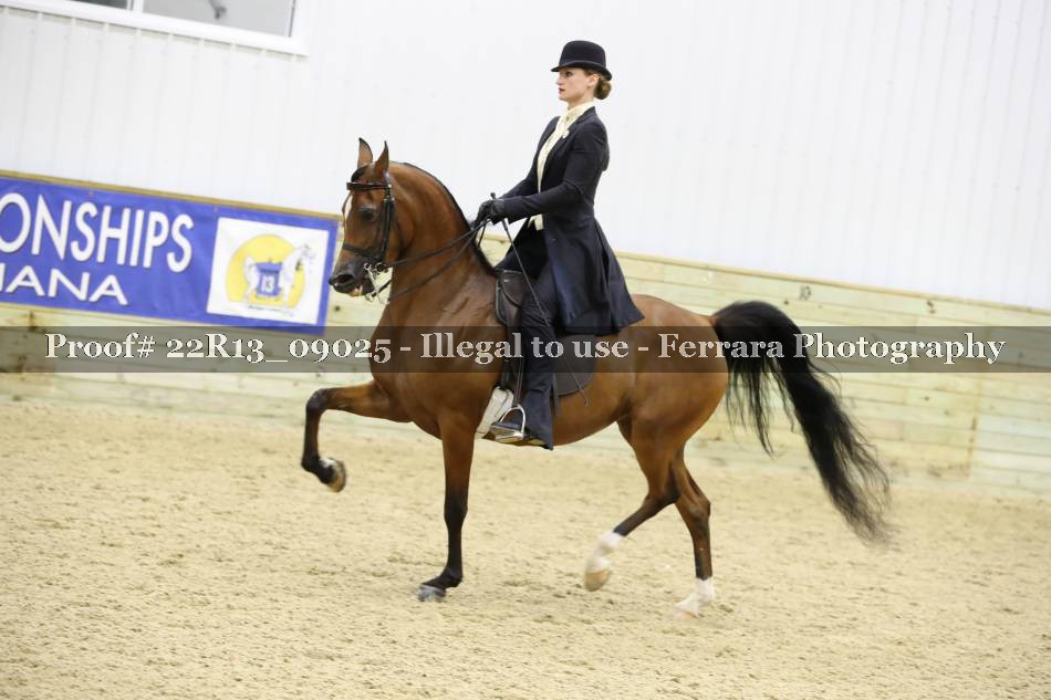 Proof 22R13_09025