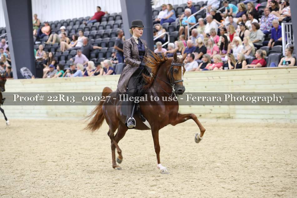 Proof 22R13_09027