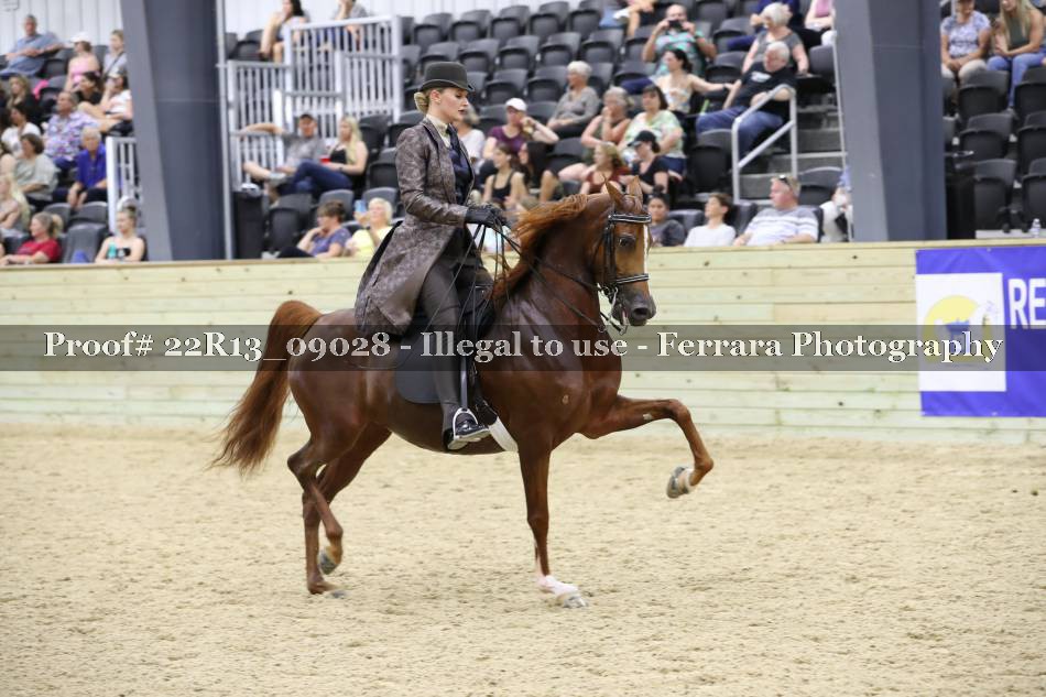 Proof 22R13_09028
